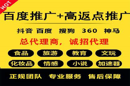百度竞价赚钱技巧：案例分析